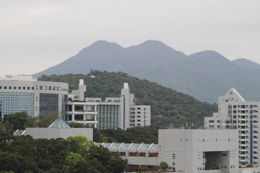 Hong Kong Üniversitesi bilim ve teknoloji 2017