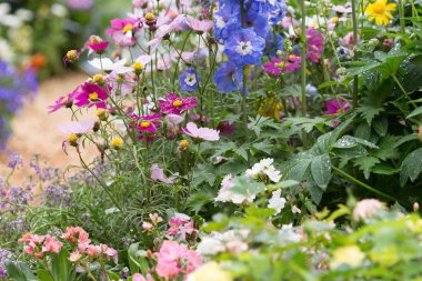  Parkta çiçek açan çiçekler. 