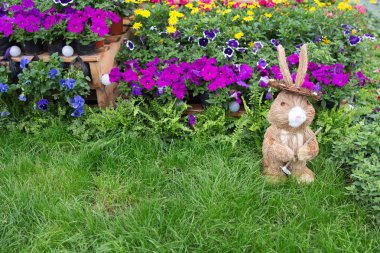 hong kong çiçek Fuarı nda 2017