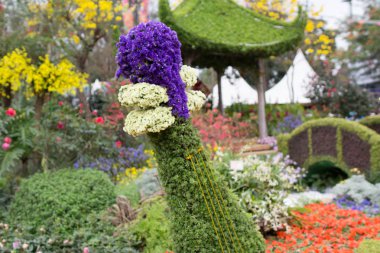 papirüs bitki ile huzurlu zen rock Bahçe