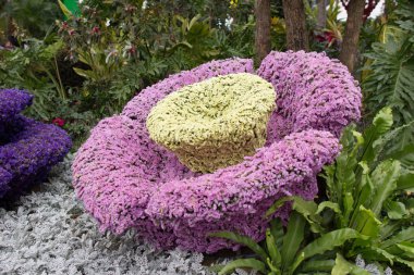 Hong Kong çiçek göster