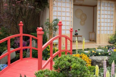 papirüs bitki ile huzurlu zen rock Bahçe