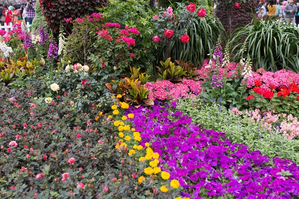 O show de flores de Hong Kong — Fotografia de Stock