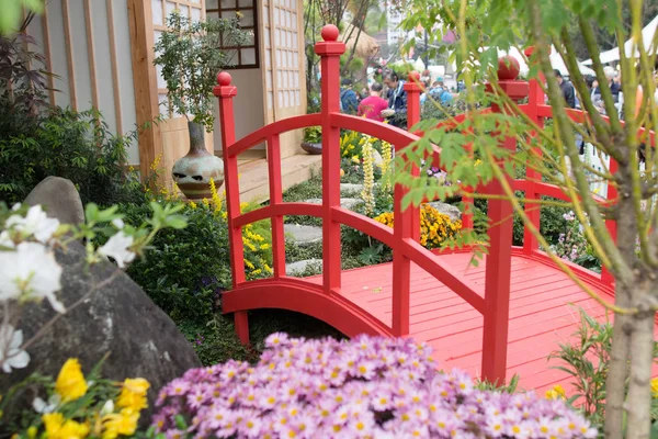 peaceful zen rock garden with papyrus plant