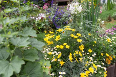  Parkta çiçek açan çiçekler. 