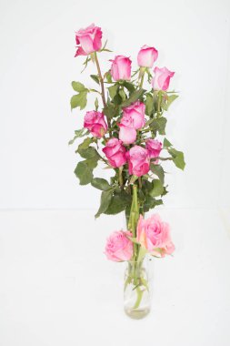 çiçek buketi çiçek gösteri