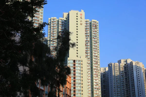Vertshuset hong Kong Estate Tsz Wan Shan – stockfoto