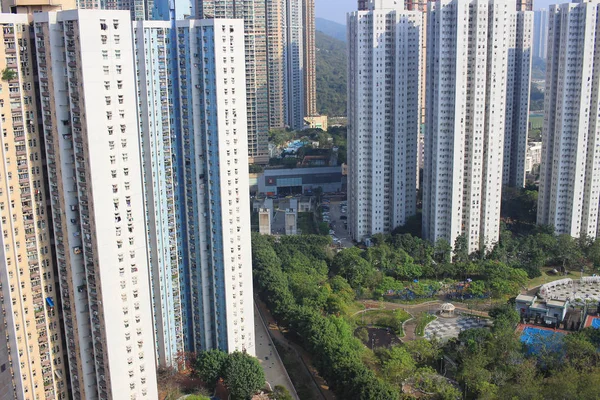 tseung gün zaman kwan O, hong kong 