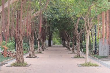 Tai Po Waterfront Park