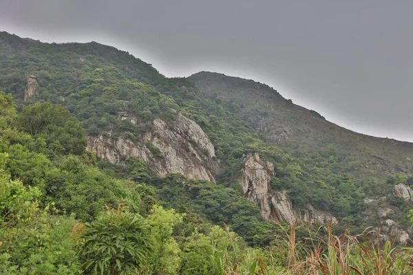 青山近景 — 图库照片