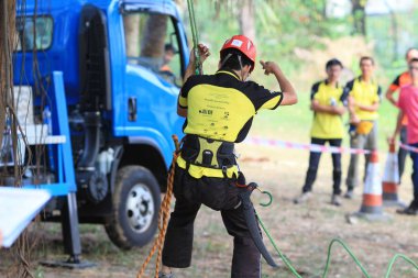 arborist ağaca testere ile kesme