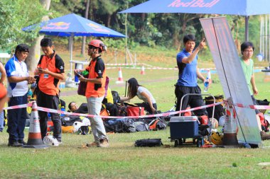 arborist ağaca testere ile kesme