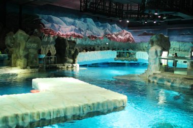 ocean Park Odobenus erkek