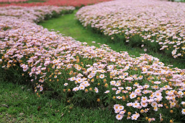 Taipei internationale flora ausstellung 2011 — Stockfoto