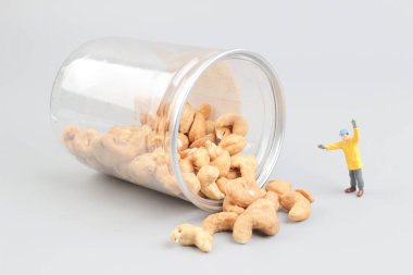 Şişe ile oyuncak incelemesi fındık