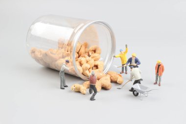 Şişe ile oyuncak incelemesi fındık