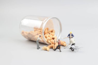 Şişe ile oyuncak incelemesi fındık