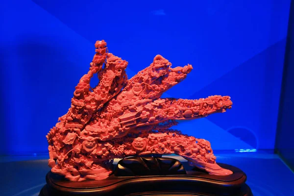 Esposizione in museo di coralli a taiwan — Foto Stock