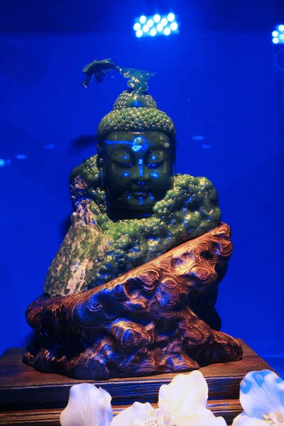 Exposición en museo de corales en taiwan — Foto de Stock
