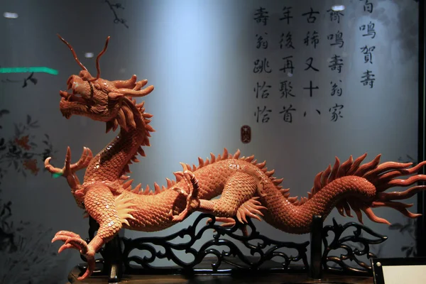 台湾でサンゴの博物館で展示します。 — ストック写真