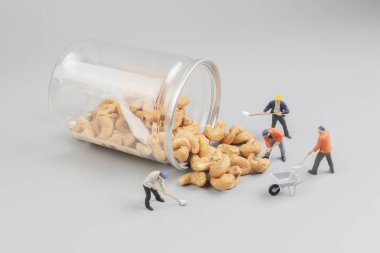 Grup Mini çiftçilerin fındık hazırlanıyor