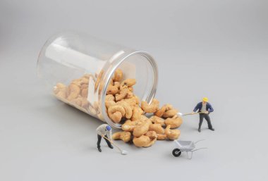 Grup Mini çiftçilerin fındık hazırlanıyor