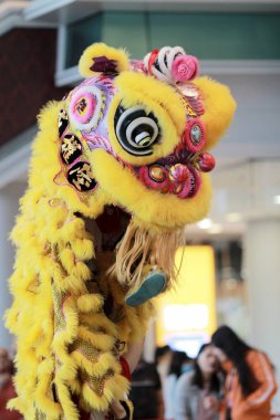 Wu shu gösteride hk 2017