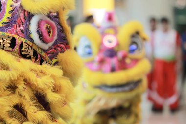 Wu shu gösteride hk 2017