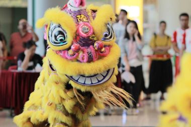 Wu shu gösteride hk 2017