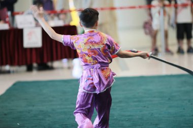 Wu shu gösteride hk tst 2017