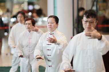 Wu shu gösteride hk tst 2017