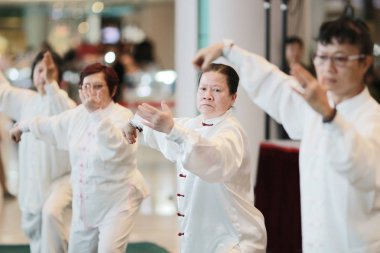 Wu shu gösteride hk tst 2017