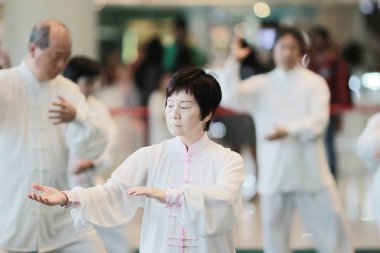 Wu shu gösteride hk tst 2017