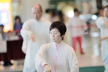 Wu shu gösteride hk tst 2017