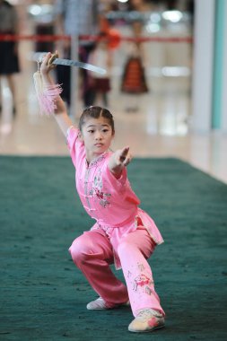 Wu shu gösteride hk tst 2017