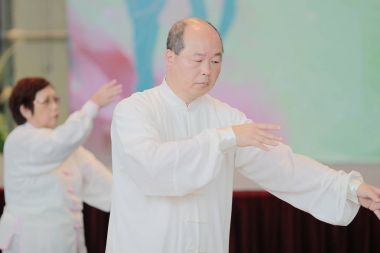 Wu shu gösteride hk tst 2017