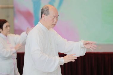 Wu shu gösteride hk tst 2017
