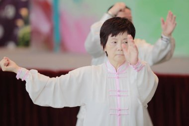 Wu shu gösteride hk tst 2017