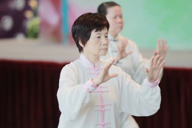 Wu shu gösteride hk tst 2017