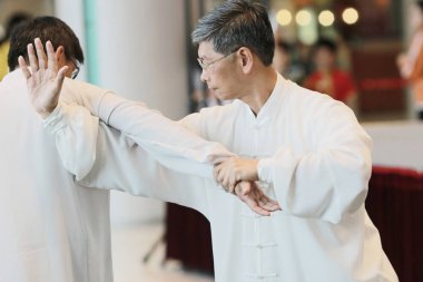 Wu shu gösteride hk 2017