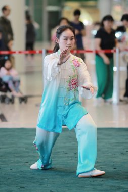 Wu shu gösteride 2017 hk