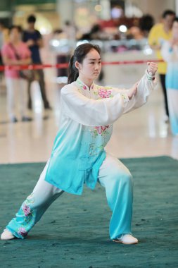 Wu shu gösteride 2017 hk