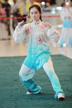 Wu shu gösteride 2017 hk