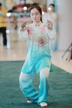 Wu shu gösteride 2017 hk