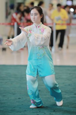 Wu shu gösteride 2017 hk