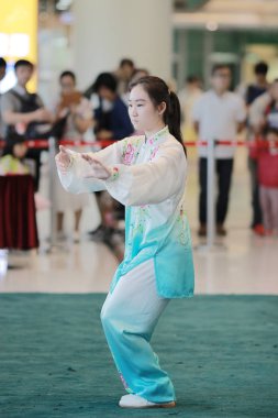 Wu shu gösteride 2017 hk