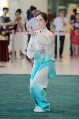 Wu shu gösteride 2017 hk