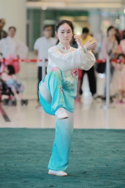 Wu shu gösteride 2017 hk