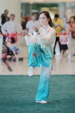 Wu shu gösteride 2017 hk