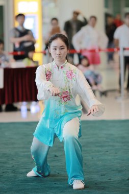 Wu shu gösteride 2017 hk